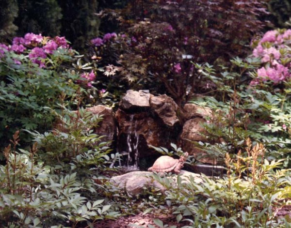 Water Features 8