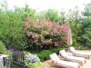 Landscape Architecture 8