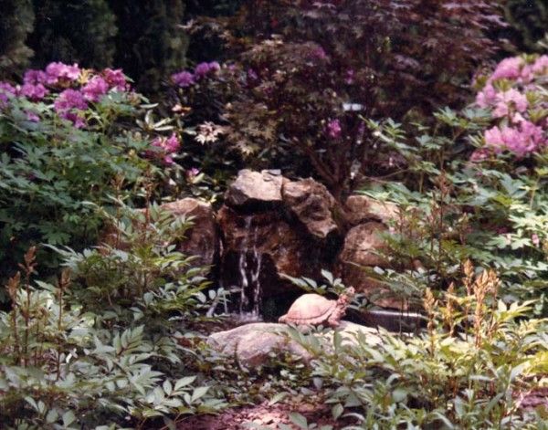 Water Features 8